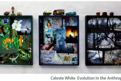 White-Celeste_Evolution-In-The-Anthropocene